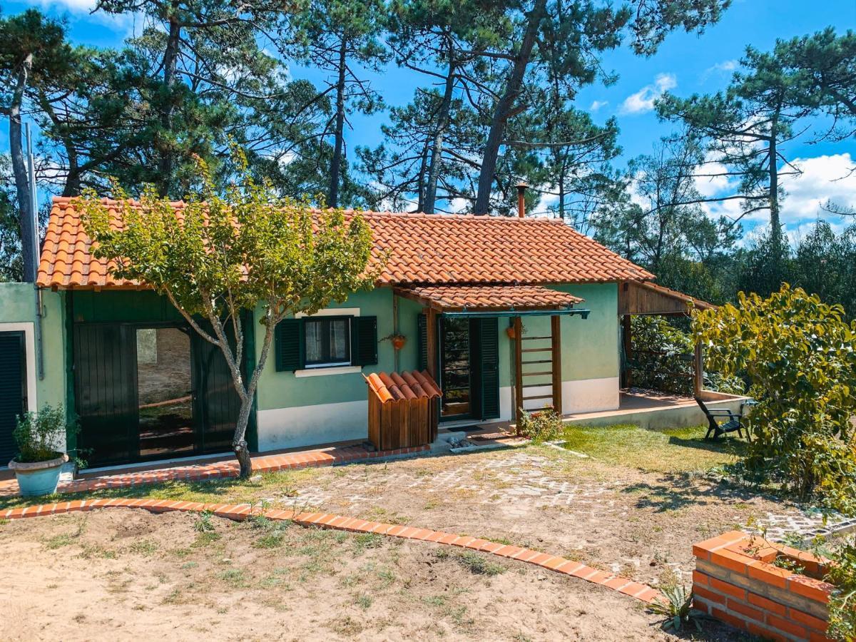 Ecobosque Villa Nadadouro Exteriör bild