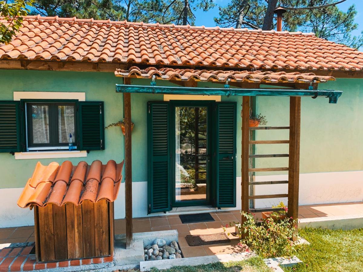 Ecobosque Villa Nadadouro Exteriör bild