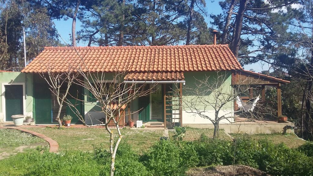 Ecobosque Villa Nadadouro Exteriör bild