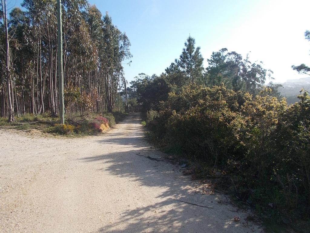Ecobosque Villa Nadadouro Exteriör bild