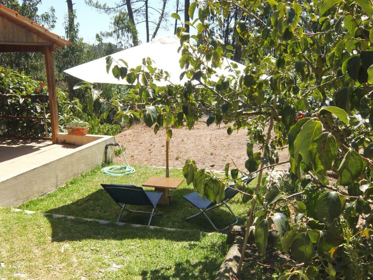 Ecobosque Villa Nadadouro Exteriör bild